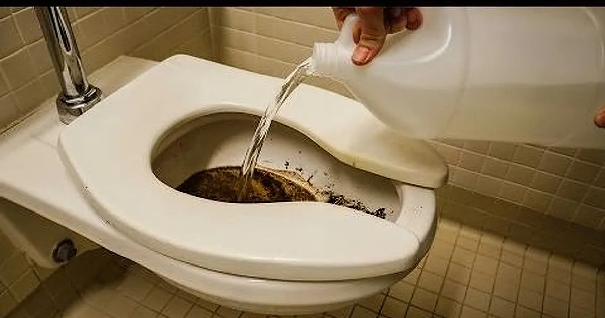 A person pours a liquid from a jug into a toilet bowl, which appears to be clogged.