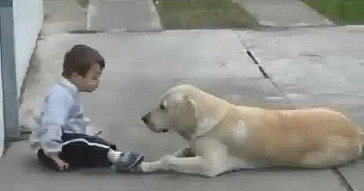 A young boy sits on the ground, facing a large dog lying on the sidewalk.