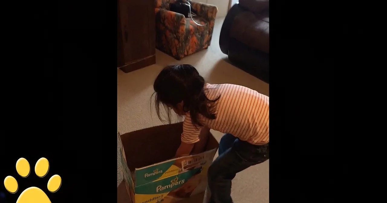 A person bends over to pick up a box of Pampers diapers from the floor.