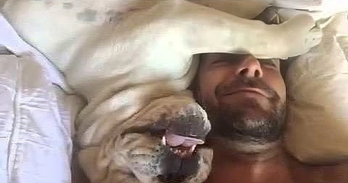 A man is lying down with a large, light-colored dog resting its head on his chest.