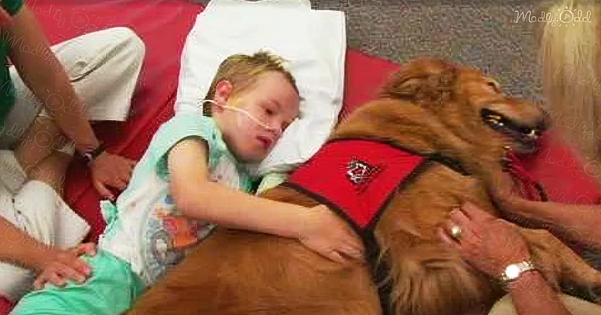 A young girl with a nasal cannula rests peacefully, cuddling a large brown dog in a red vest.