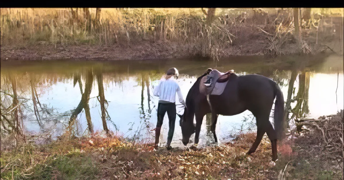 A person in white shirt and black pants stands beside a dark horse near a reflective pond, surrounded by autumn leaves.