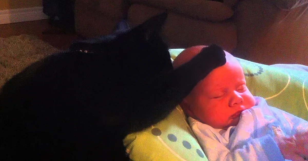 A black cat is gently pawing at a sleeping baby's face, both on a green blanket.