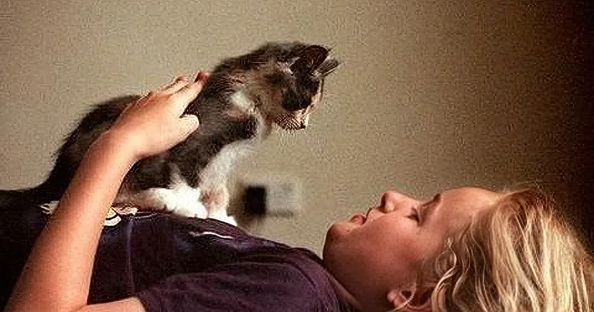 A person is lying down with a cat perched on their chest, while another person leans in close.
