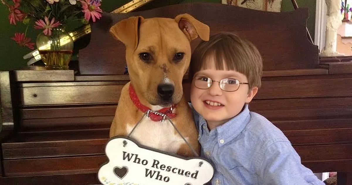 Abandoned and Left to Die. Amazing Mom Rescues Dog! Then the Dog Saves Her Autistic Son.