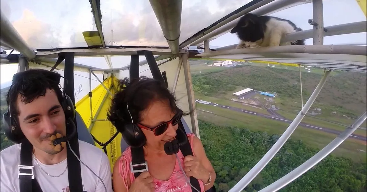 A person in a pink top is seated in a biplane, wearing headphones and a harness, with a black and white cat perched on...