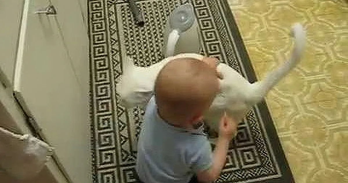 A baby in a light blue shirt is sitting on a patterned rug, holding a white cat.