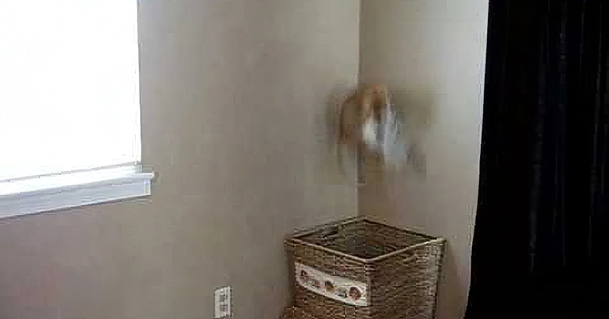 A fluffy cat is mid-air, seemingly leaping or falling near a corner of a room with wicker baskets and a window.