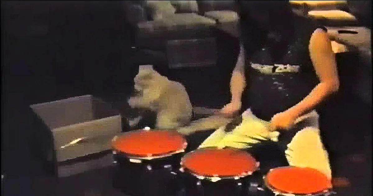 A cat is playfully interacting with a person on a drum set, with a box nearby.
