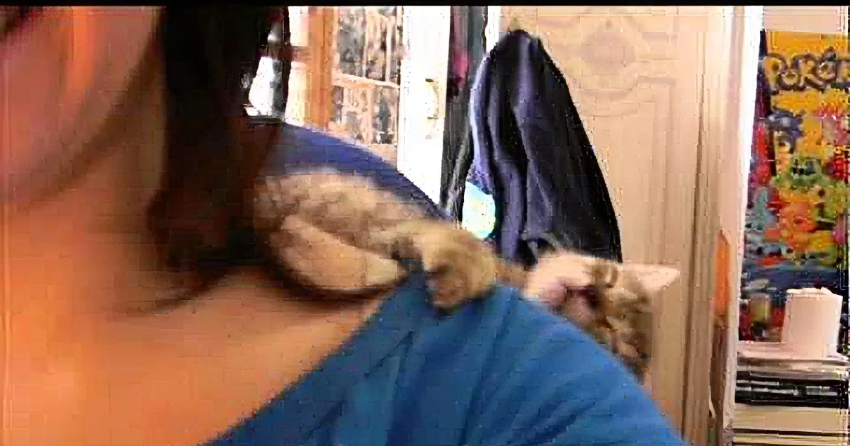 Adorable Kitten Falls Asleep on Mommy!