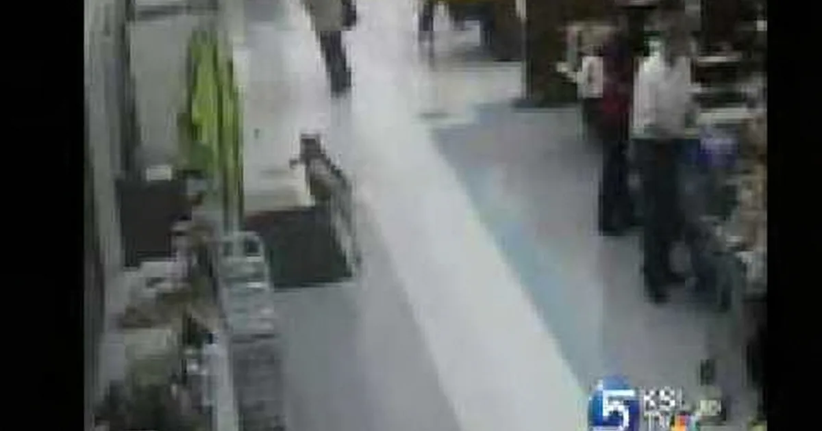 This Dog Sneaked Into a Supermarket. What the Hidden Camera Shows Him Doing? OMG!