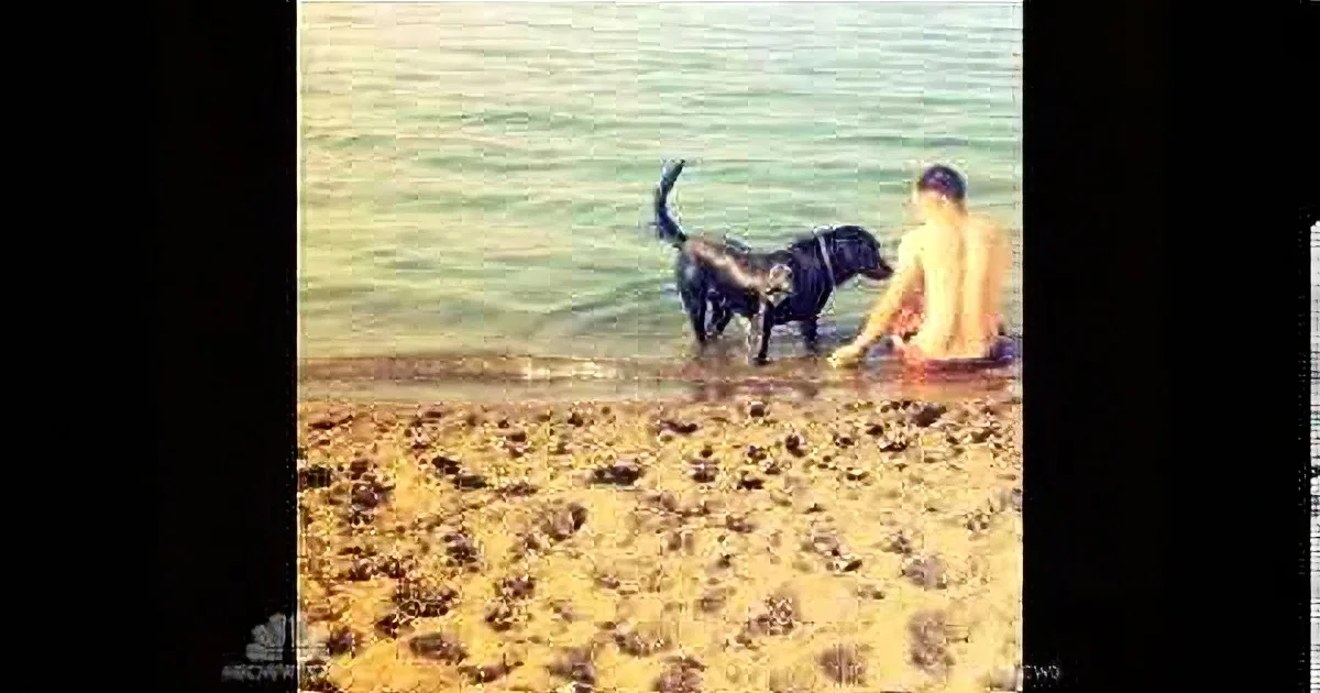Marine Thought He Had Lost His Best Friend Forever. but What His Sister Did? You Won't Believe It!