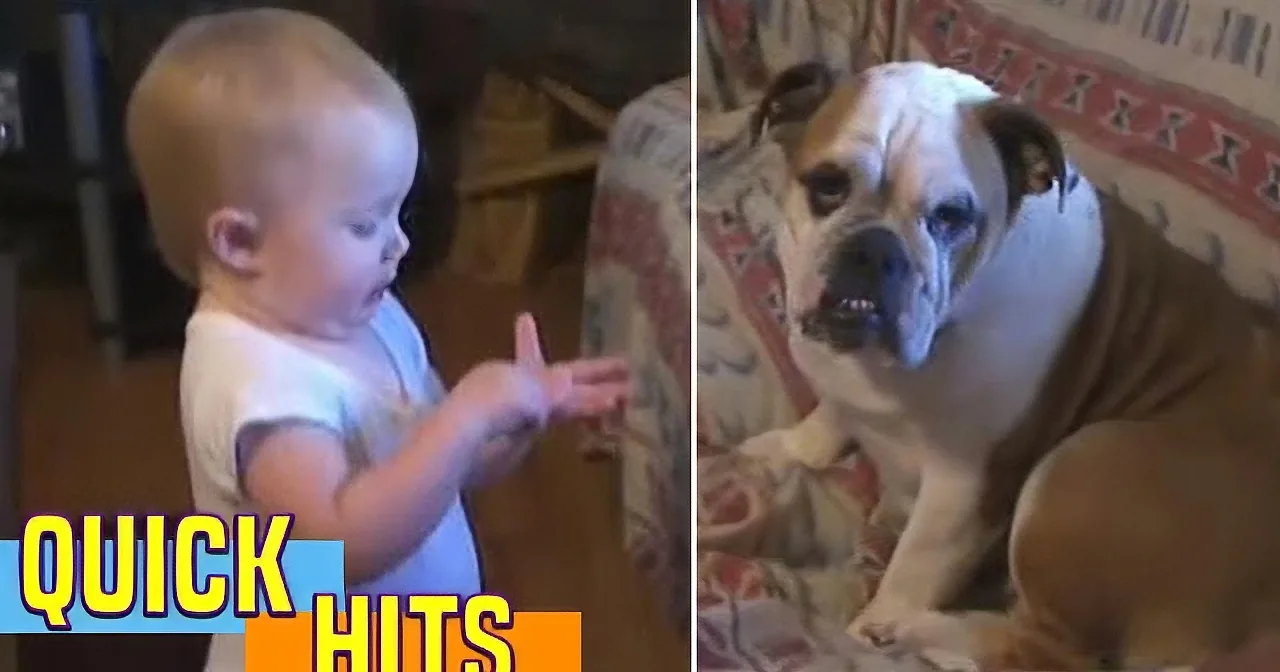 Baby Is Lecturing This Dog. When You See What She Is Saying, You''ll Be Laughing Non-Stop!