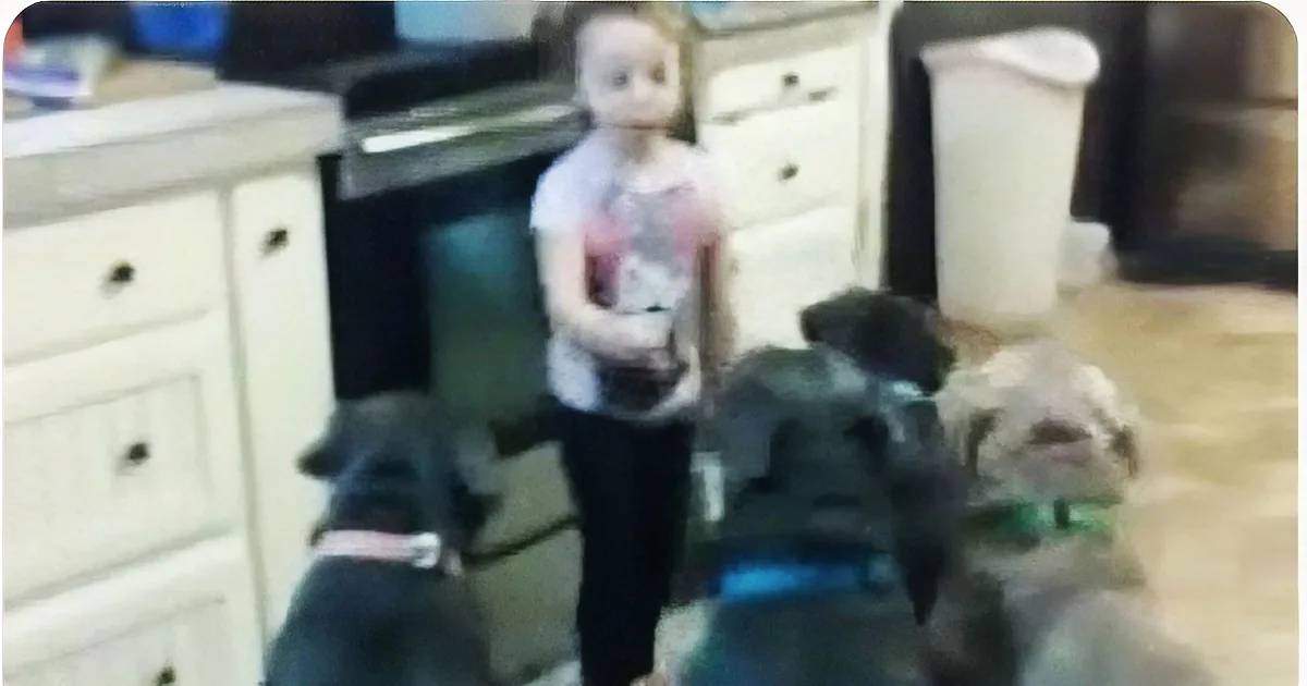 Little Girl Stood Between 6 Hungry Pit Bulls and Their Dinner. Then What Happened? Whoa!