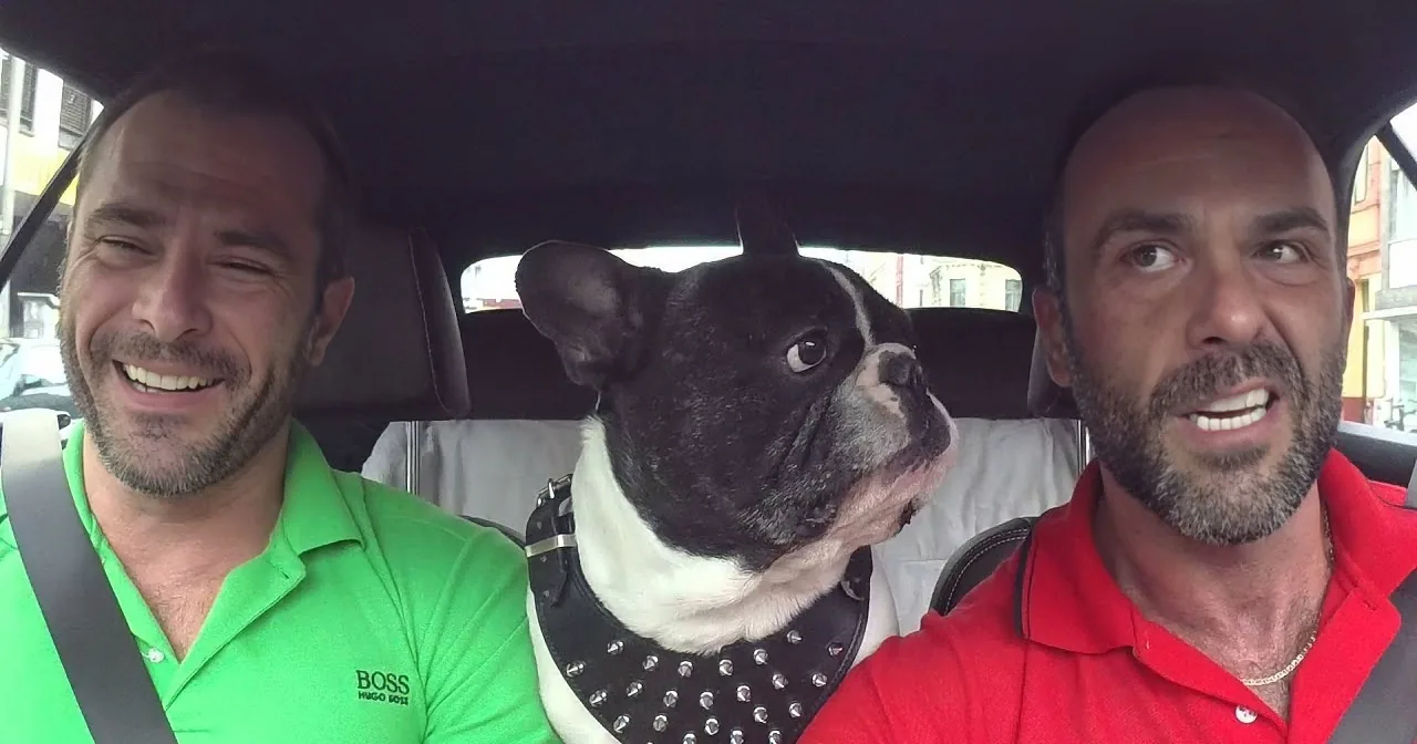 I Thought This Was a Normal Car Ride, Until Their Dog Started Doing This! Aww... so Sweet!