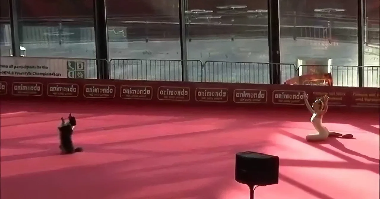 A person in a yoga pose on a pink mat with a speaker and banners in the background.