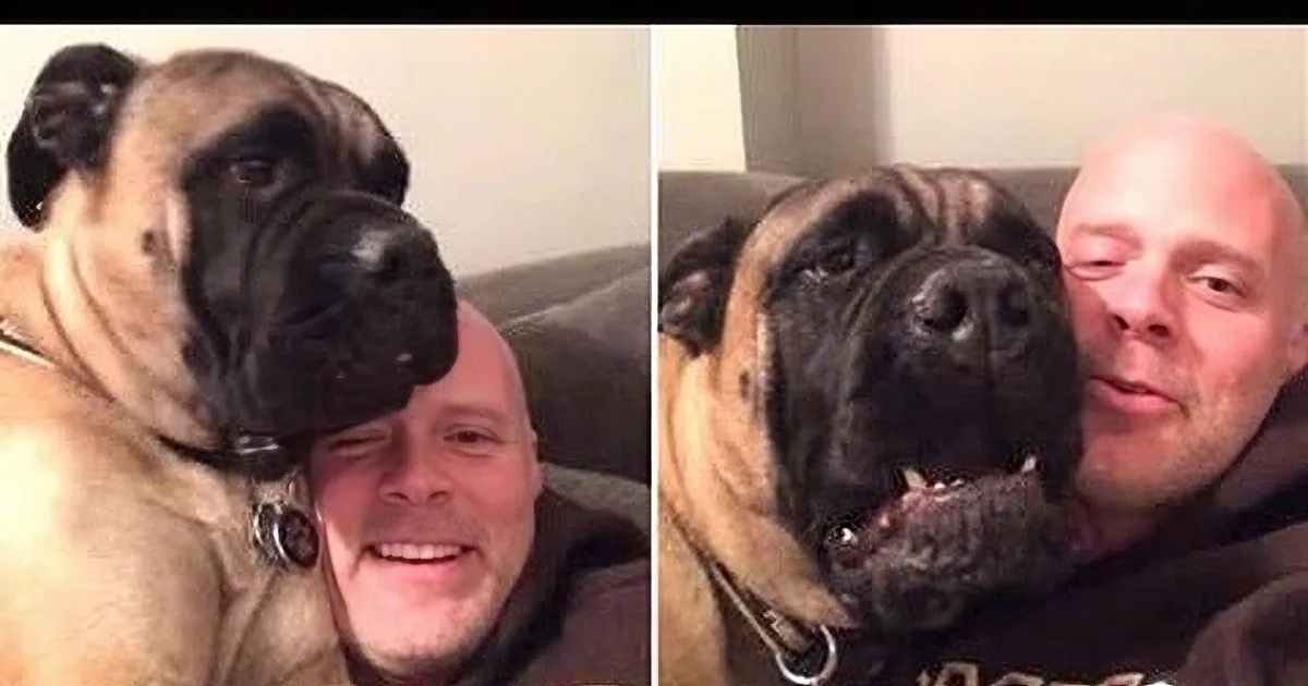 A man and his large dog are smiling and posing together on a couch.