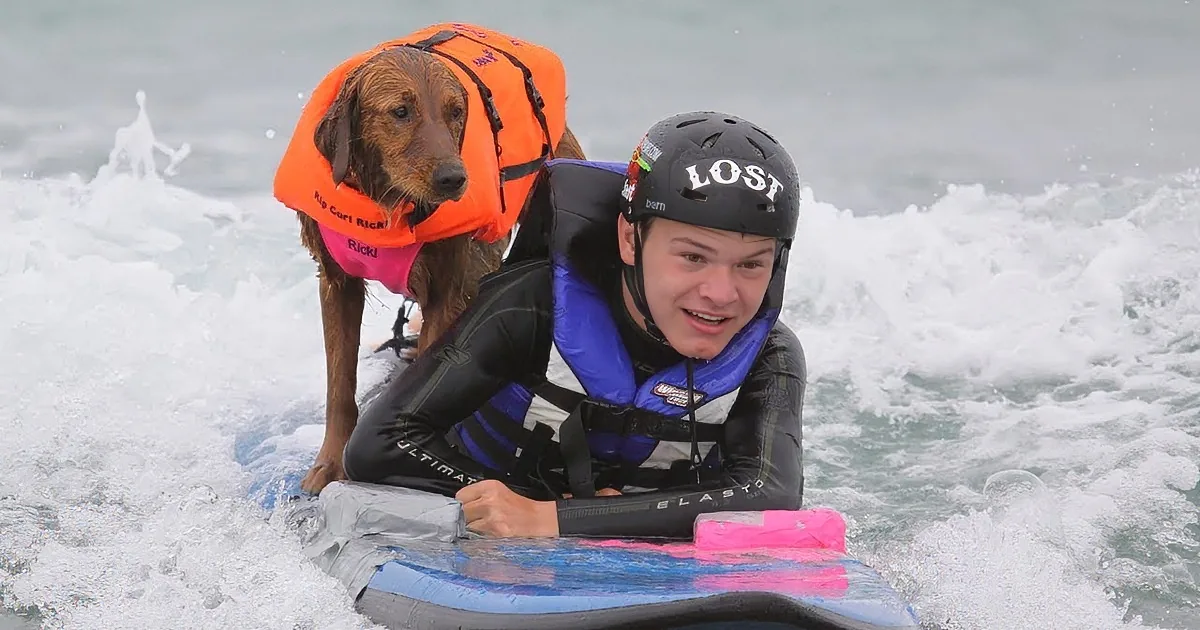 This Dog Was Raised to Be Service Dog, but She Failed. Watch What Mom Did Next! I''m out of Words!