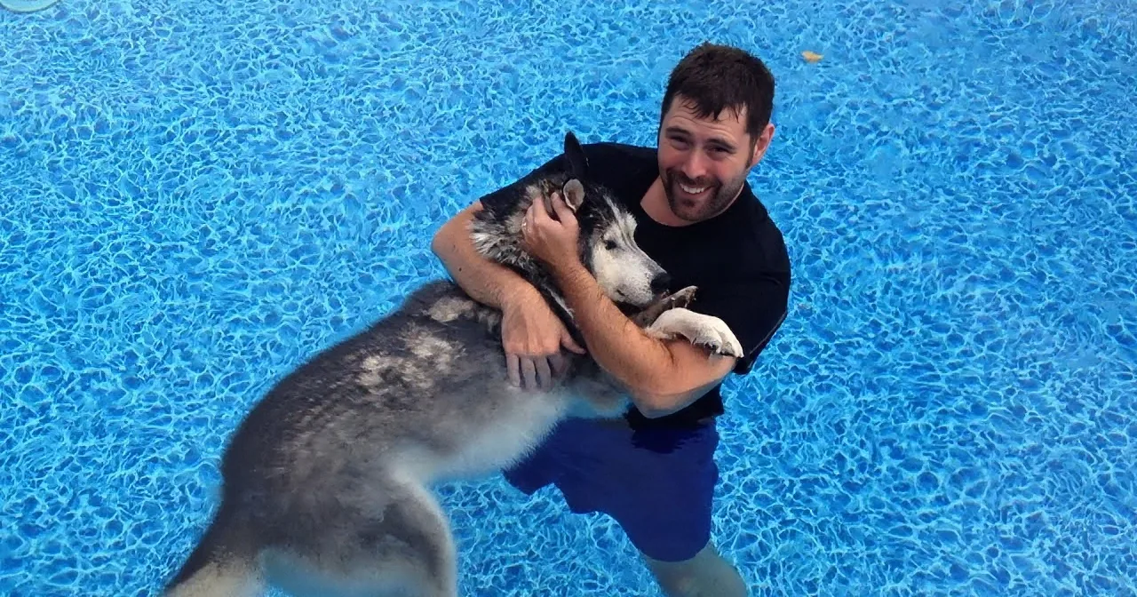 He Put His Sick, Old Dog in the Pool-- When This Happens Next, I''m in Tears!