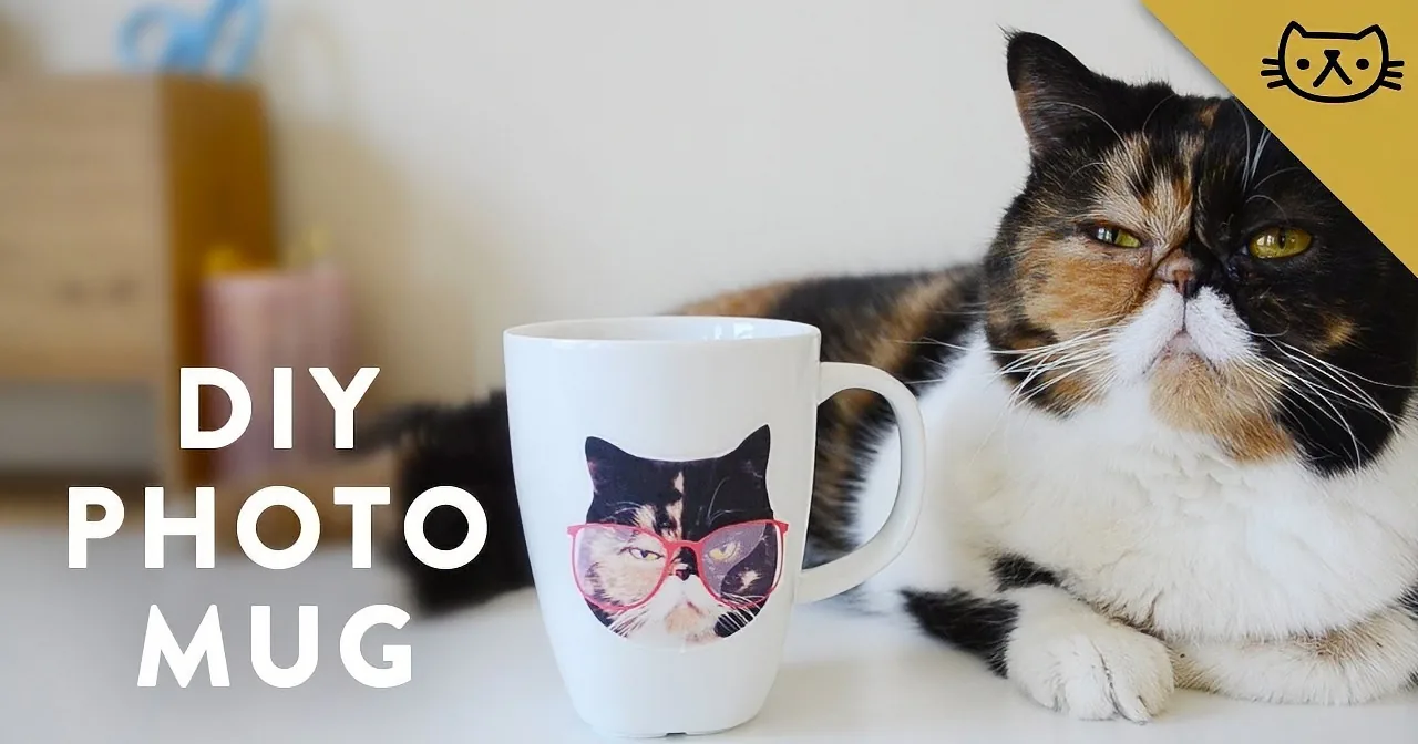 She Puts a Photo of Her Cat in Water. Watch What Happens When She Pulls It up... OMG!