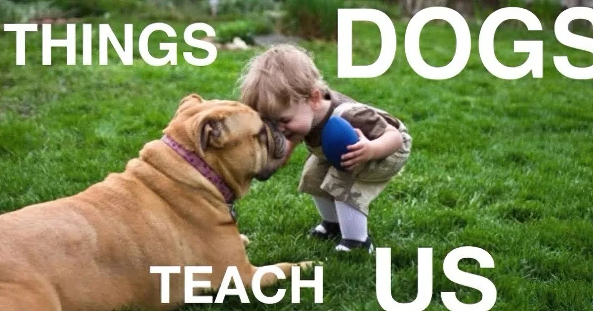 A child and a dog share a playful moment on grass, with text overlay saying "THINGS DOGS TEACH US."