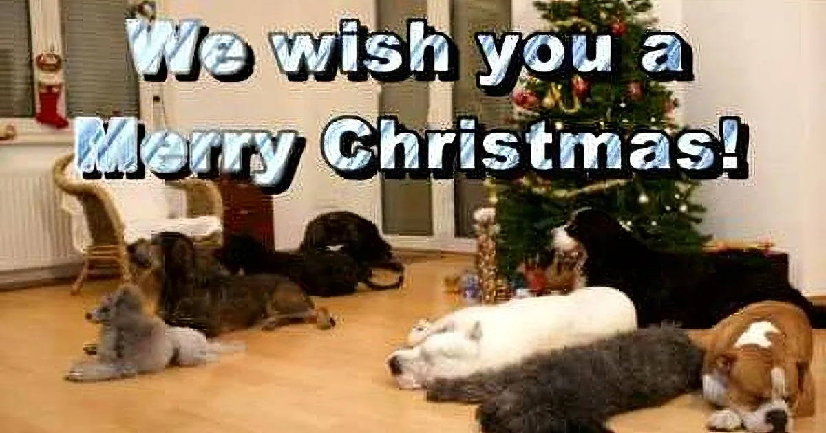 Christmas tree adorned with ornaments, surrounded by dogs lounging on a wooden floor.
