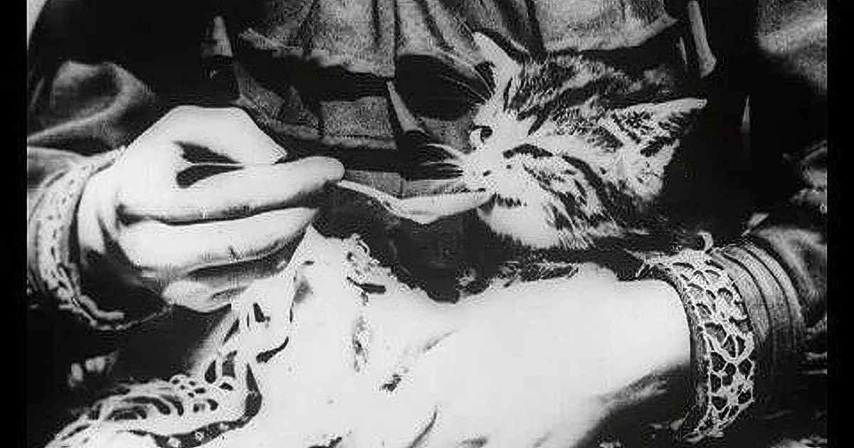Want to Watch the First Ever Cat Video? (Hint: It''s Over a 100 Years Old!) Wow!