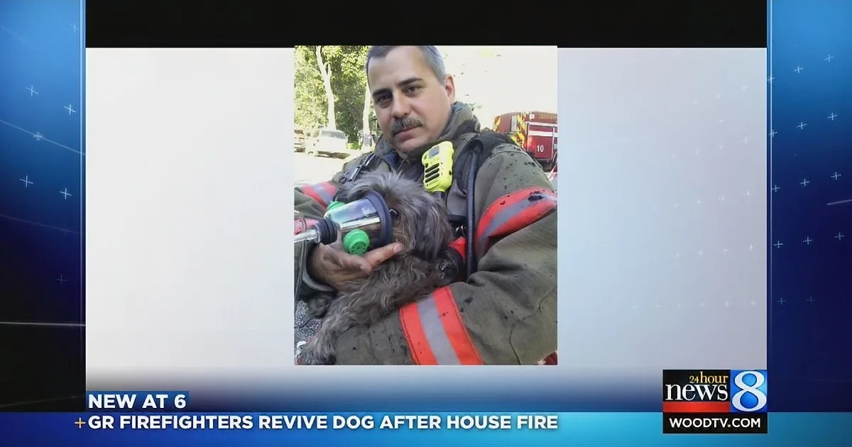 A firefighter holds a dog with a breathing mask, rescued after a house fire.