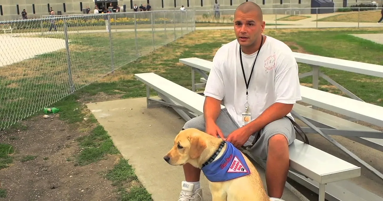 A man sits on bleachers with a yellow Labrador Retriever wearing a service dog vest.