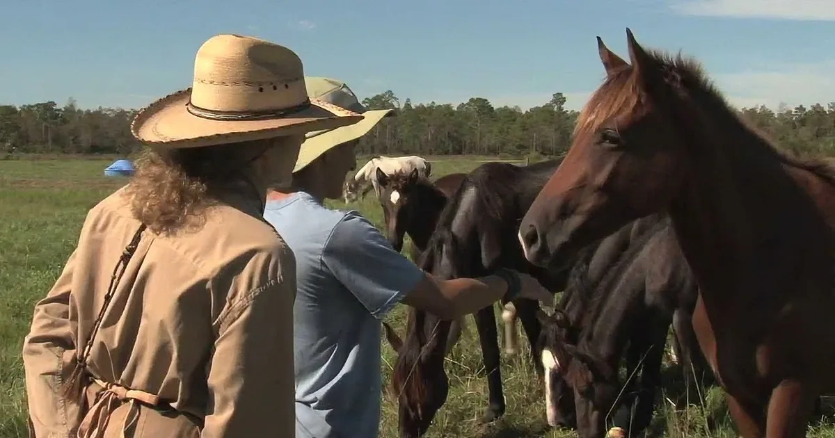 He''s Stricken With Severe Asperger''s and Nothing Was Helping. Keep an Eye on the Horse...