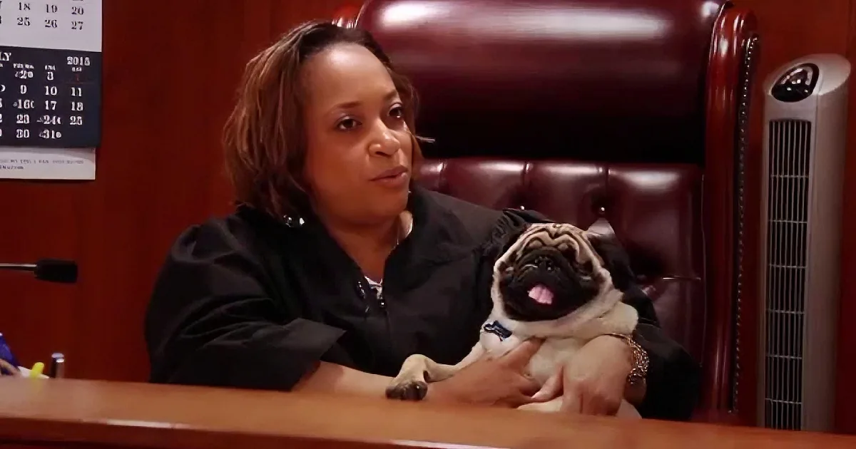A woman in a courtroom holds a small dog on her lap, surrounded by legal documents and a fan.