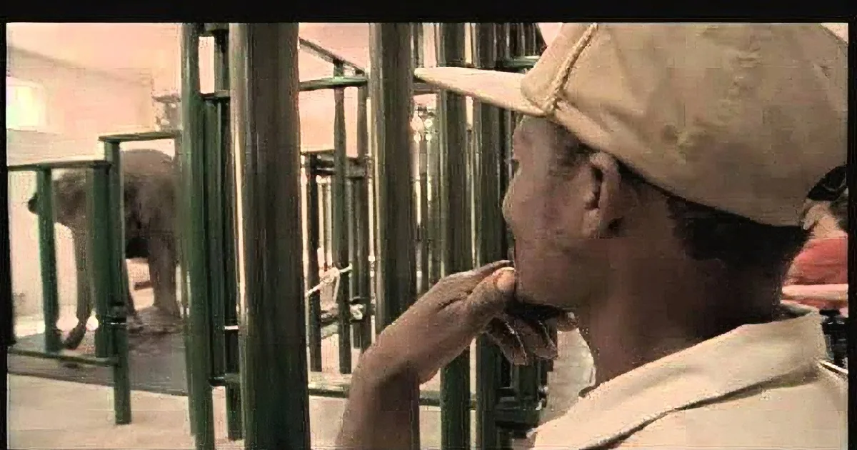 It's Been 22 Years That He's Cared for of This Elephant. but When He Said Goodbye? Tear Jerking!
