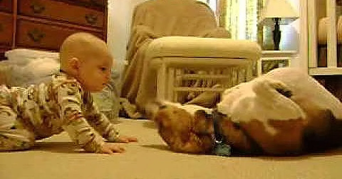 A baby in camouflage pajamas is crawling on the floor, reaching out towards a cat.