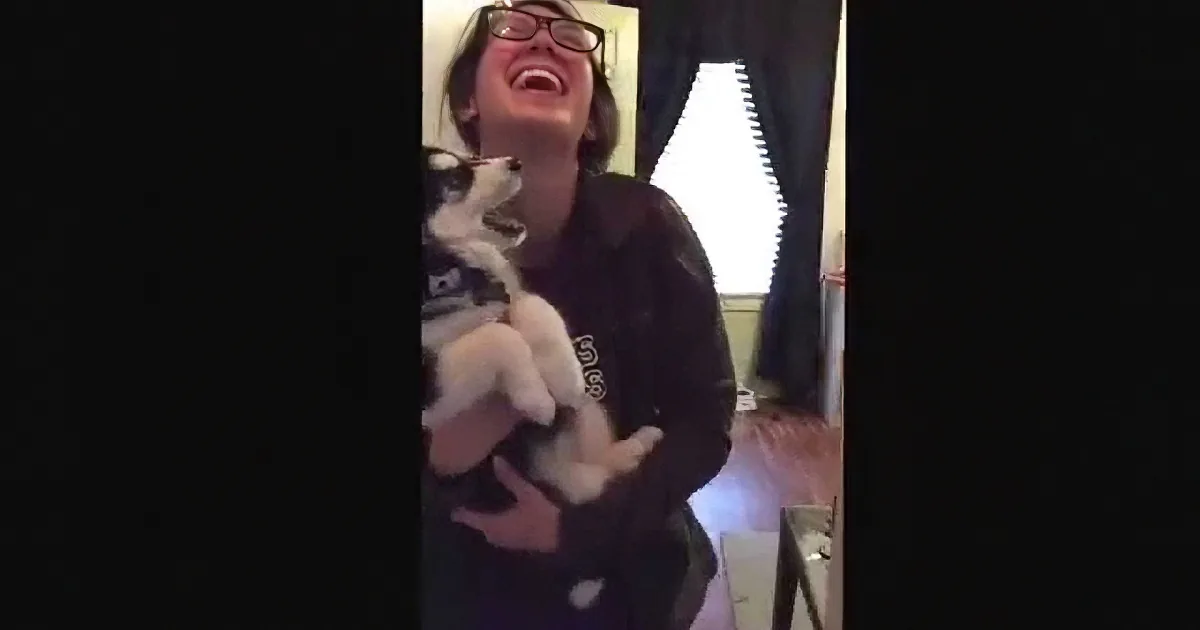 A person in glasses laughs while holding a small dog, both appear joyful.