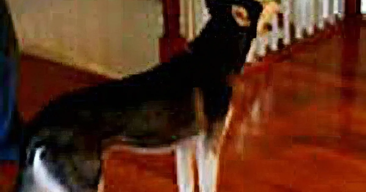 The Owner Asks Her if She Is Stupid. How She Responds Will Leave You in Hysterics! LOL!