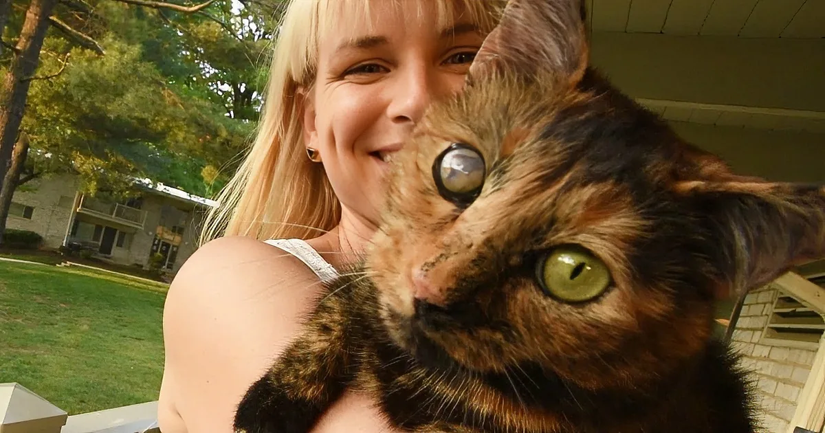 A Cat From an Extreme Hoarding Case Gets the Best Happily Ever After!