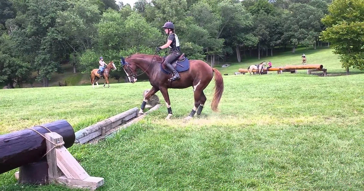Horse Gives His Best Effort to Jump Over Small Trench! Wow!