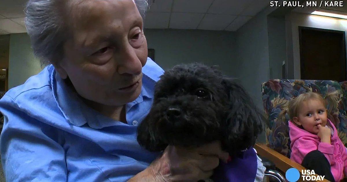 An elderly man holds a small black dog, with a child in a pink coat sitting in the background.
