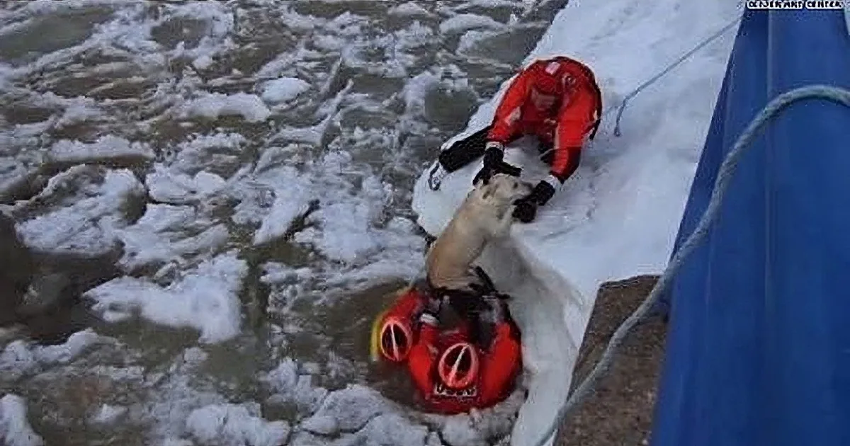 A person in red rescue gear is being pulled up a snowy slope using a rope.