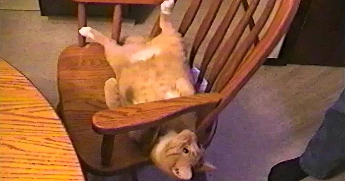 An orange tabby cat is playfully lying on its back on a wooden rocking chair.