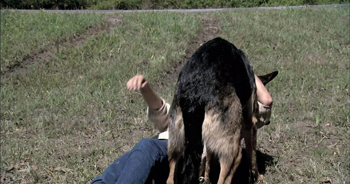 A person and a dog are lying on the grass in a field, with the dog partially obscuring the person.