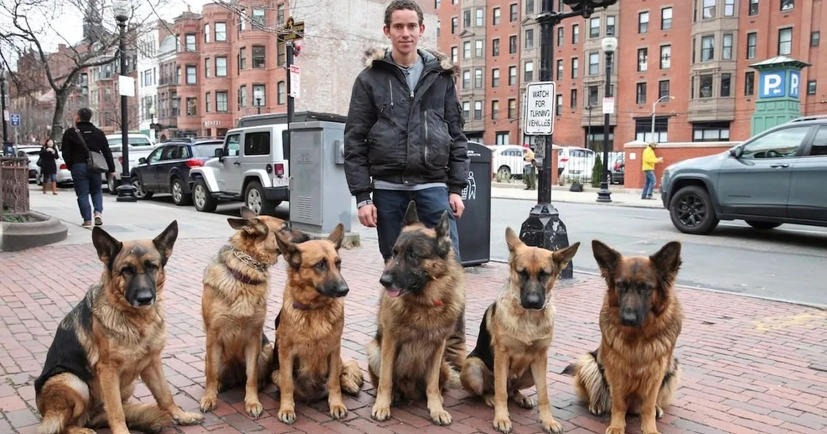 A man stands on a city sidewalk with multiple images of a German Shepherd edited around him.