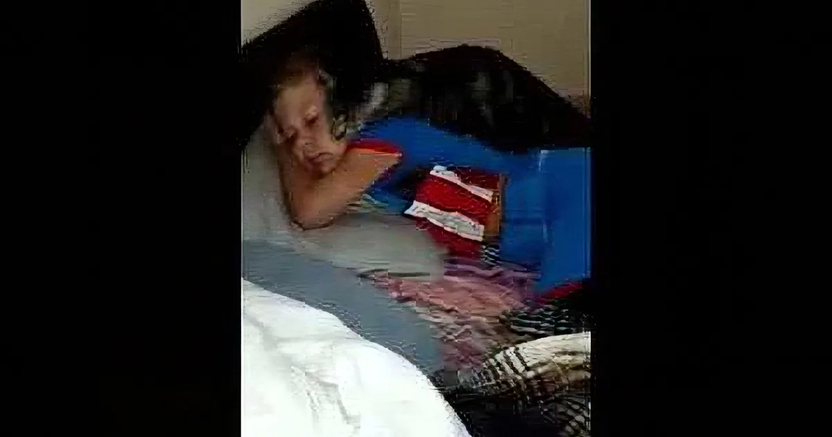 When He Came Back From the Vacation, His Kitty Couldn''t Contain His Joy. Aww...