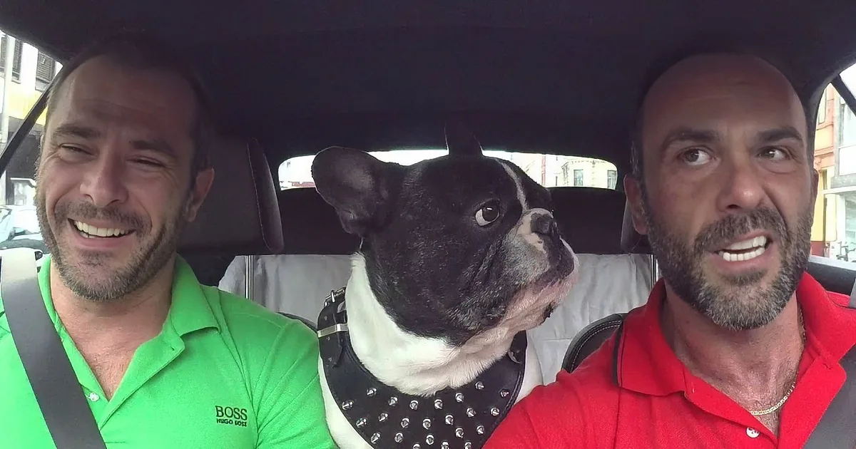 Two men in a car, one in a green shirt, the other in red, with a black and white dog wearing a studded collar between them.