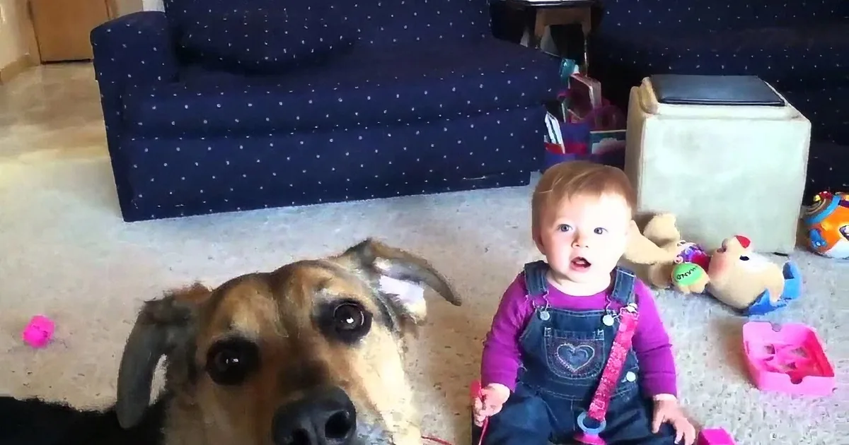 A baby in denim overalls sits on the floor surrounded by toys, with a dog in the foreground looking up.