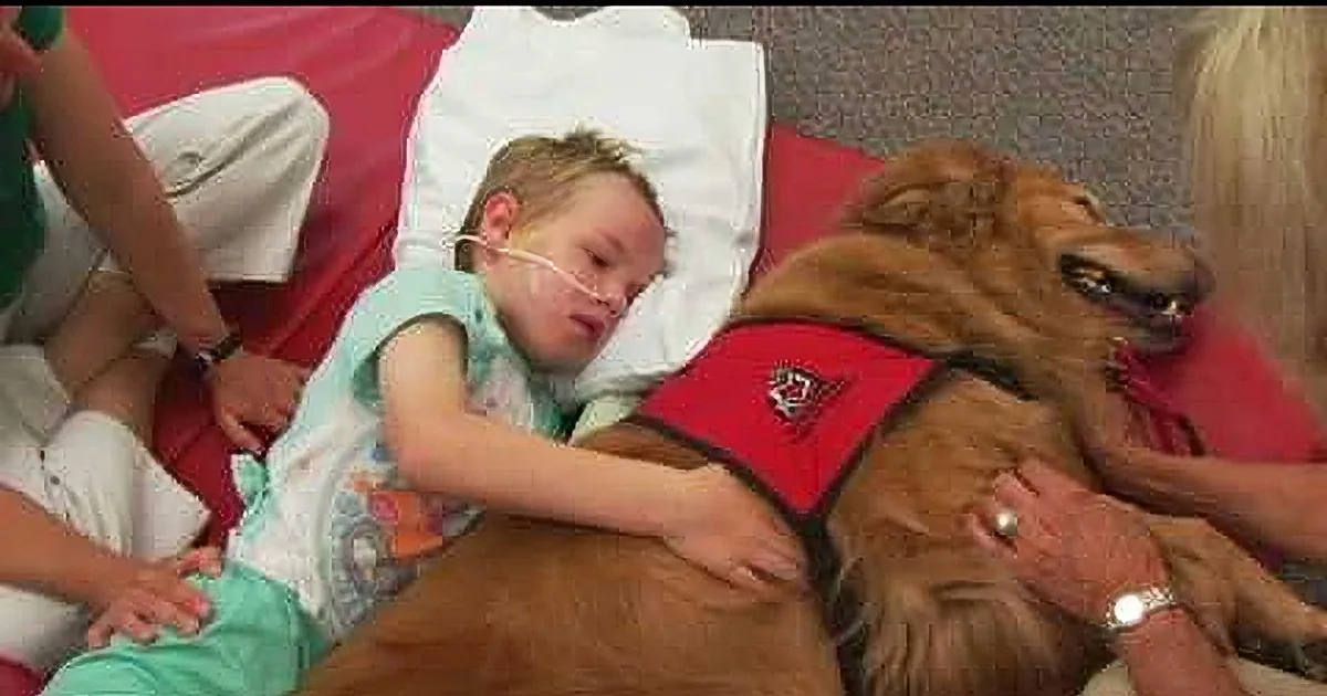 A child lying in bed, connected to a ventilator, cuddles a therapy dog wearing a red vest.