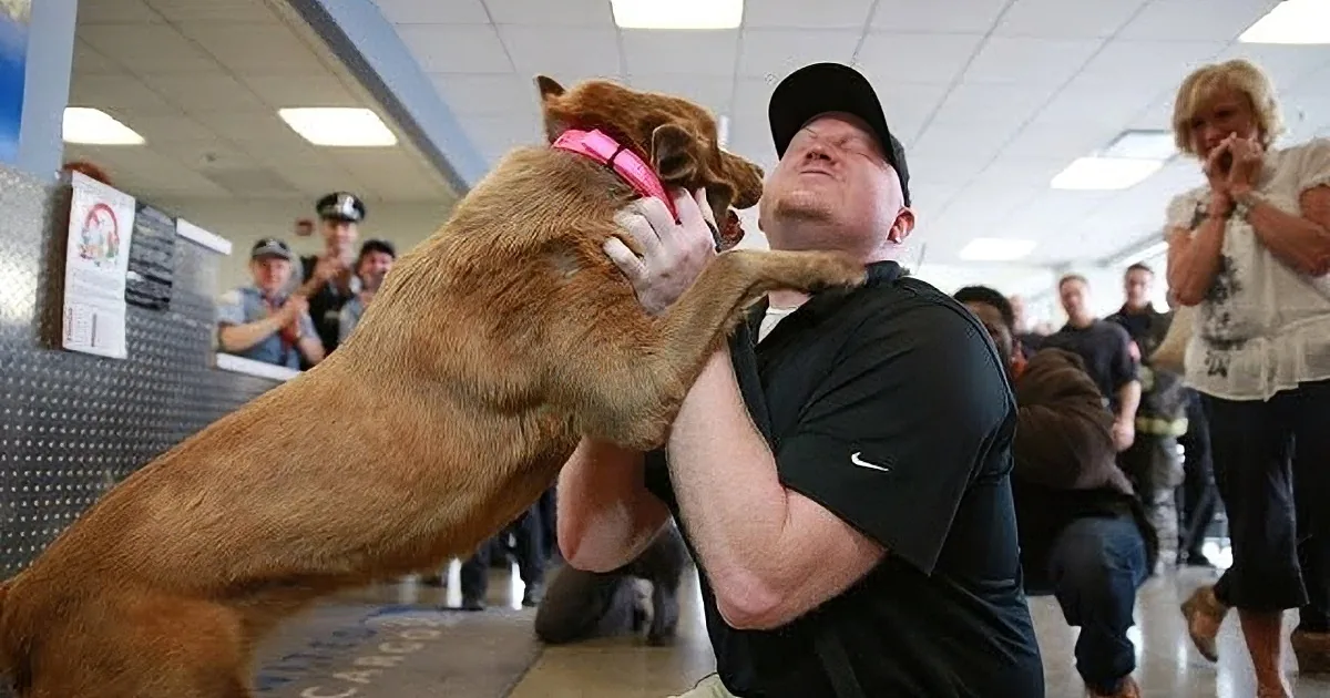 A man is playfully interacting with a brown dog, both appearing happy and engaged.
