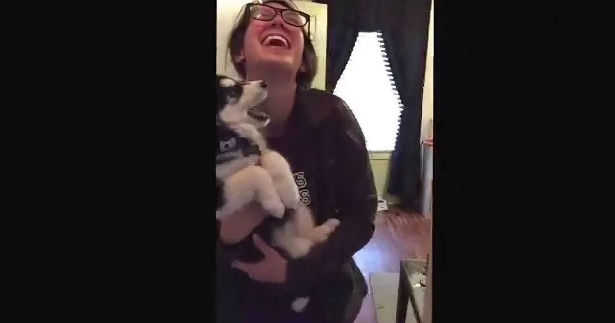 A person is laughing while holding a small dog, both appear joyful.