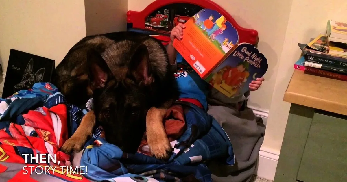 A dog lounges on a colorful blanket, holding a book titled "Good Night Little Pumpkin" while lying on a bed.