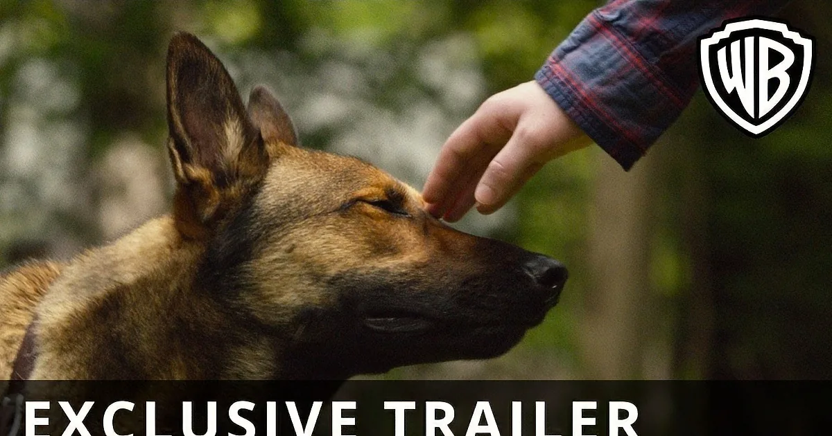 A hand pets a German Shepherd's head in a forest setting.